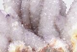 Cactus Quartz (Amethyst) Crystal Cluster - South Africa #206195-3